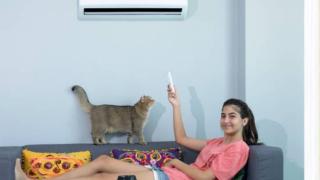 Những lưu ý an toàn khi để cún cưng trong phòng điều hòa