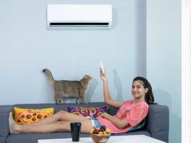 Những lưu ý an toàn khi để cún cưng trong phòng điều hòa