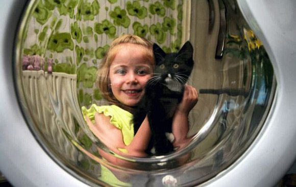 Chú mèo may mắn thoát chết sau khi mắc kẹt trong máy giặt1