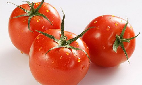 bảo quản cà chua trong tủ lạnh