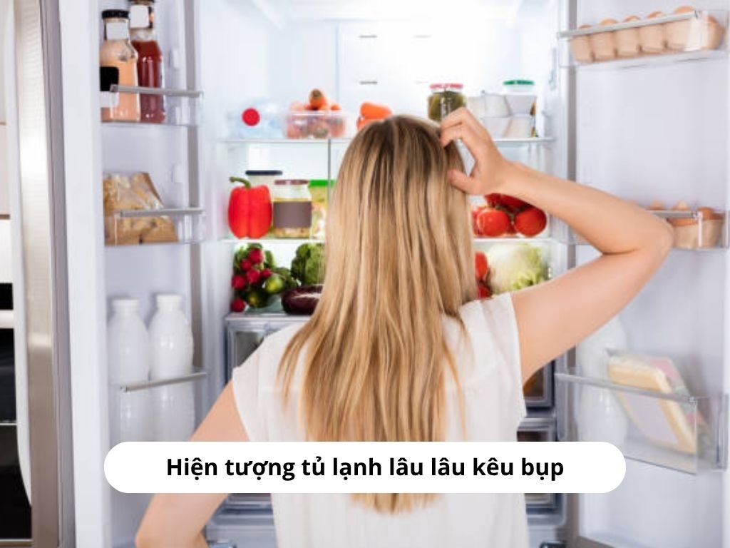 Hiện tượng tủ lạnh lâu lâu kêu bụp