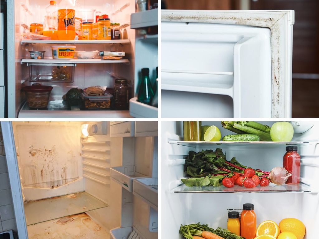 Tủ lạnh có mùi hôi sau lâu ngày không dùng