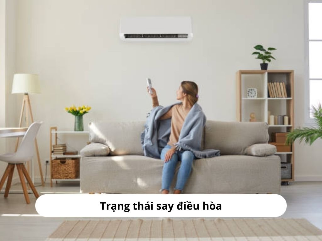Trạng thái say điều hòa